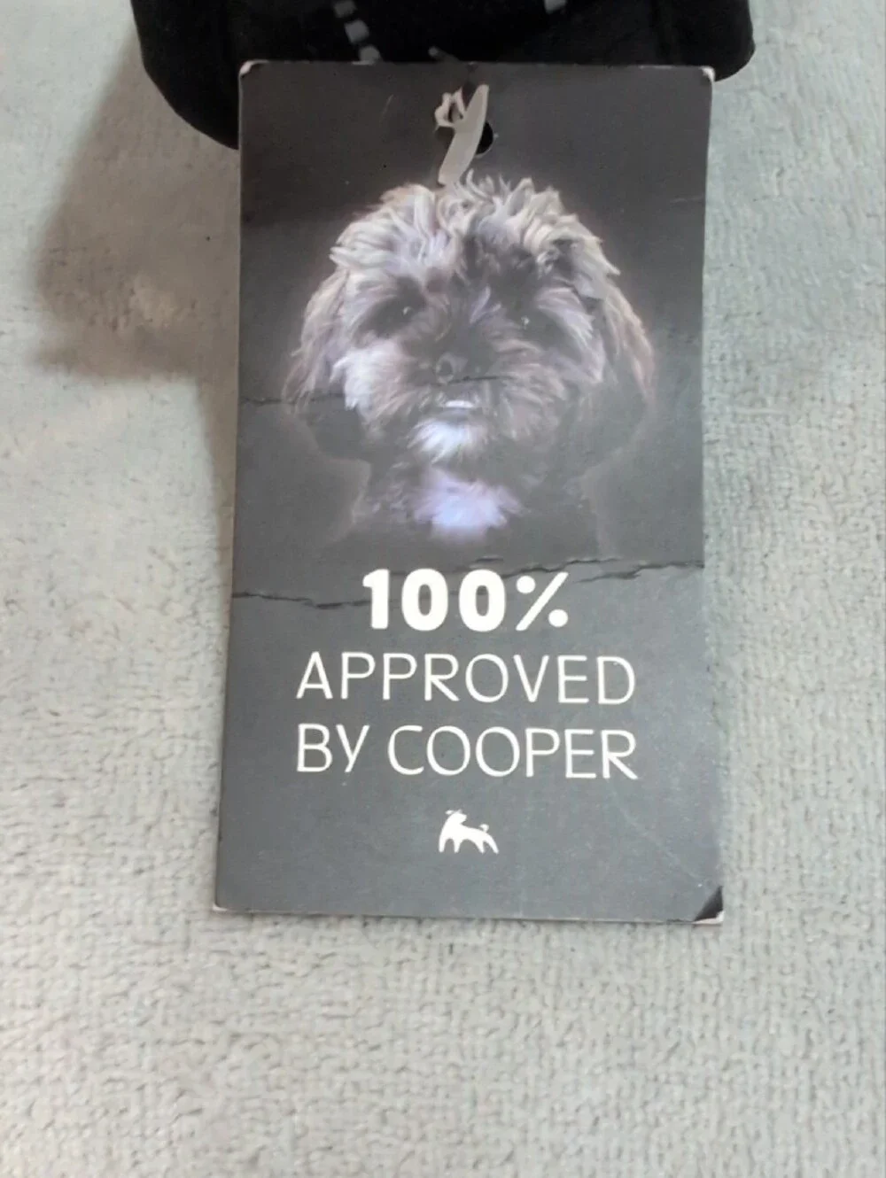 Black Padded Mesh Dog Harness - Adjustable Comfort